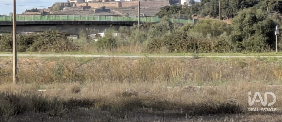 Terreno rústico em Évora Monte (Santa Maria) de 9 920 m²