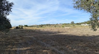 Farm land in Évora Monte (Santa Maria) of 9,920 m²
