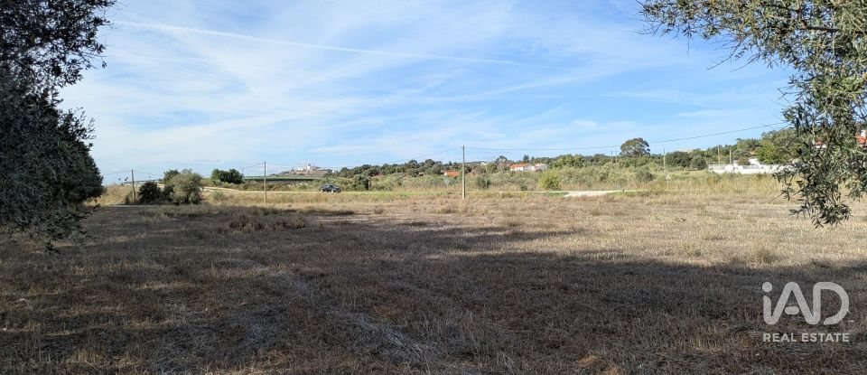 Terreno rústico em Évora Monte (Santa Maria) de 9 920 m²