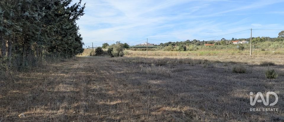 Terreno rústico em Évora Monte (Santa Maria) de 9 920 m²