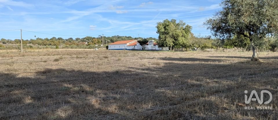 Terreno rústico em Évora Monte (Santa Maria) de 9 920 m²