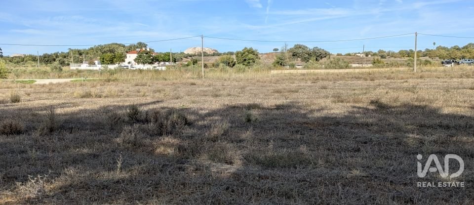Terreno rústico em Évora Monte (Santa Maria) de 9 920 m²