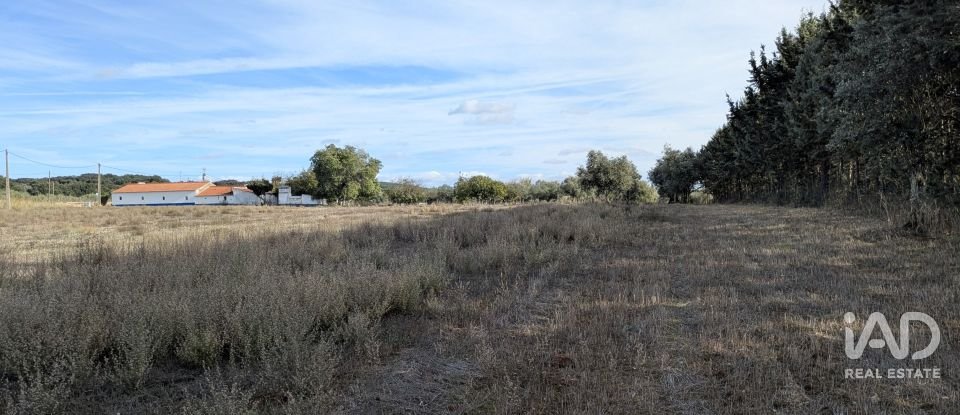 Terreno rústico em Évora Monte (Santa Maria) de 9 920 m²