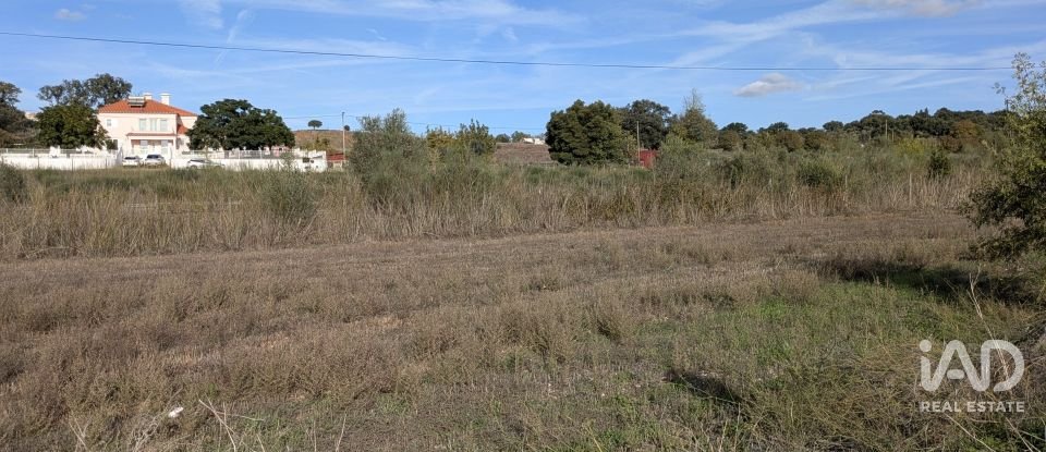 Terreno rústico em Évora Monte (Santa Maria) de 9 920 m²