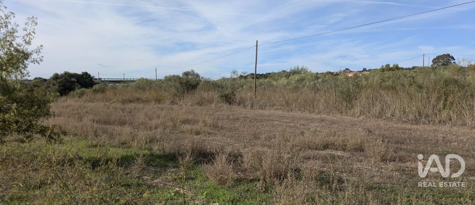 Terreno rústico em Évora Monte (Santa Maria) de 9 920 m²