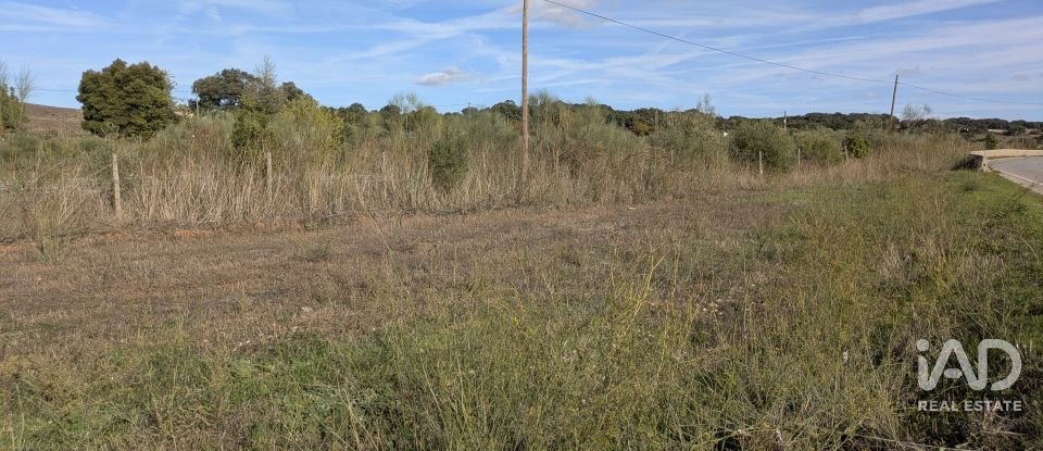 Terreno rústico em Évora Monte (Santa Maria) de 9 920 m²