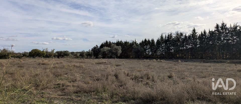 Terreno rústico em Évora Monte (Santa Maria) de 9 920 m²