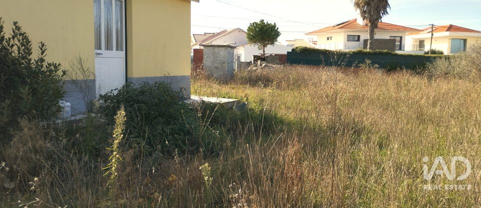 Moradia T3 em São João das Lampas e Terrugem de 215 m²