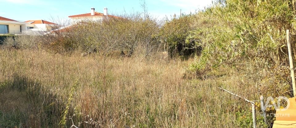 Moradia T3 em São João das Lampas e Terrugem de 215 m²