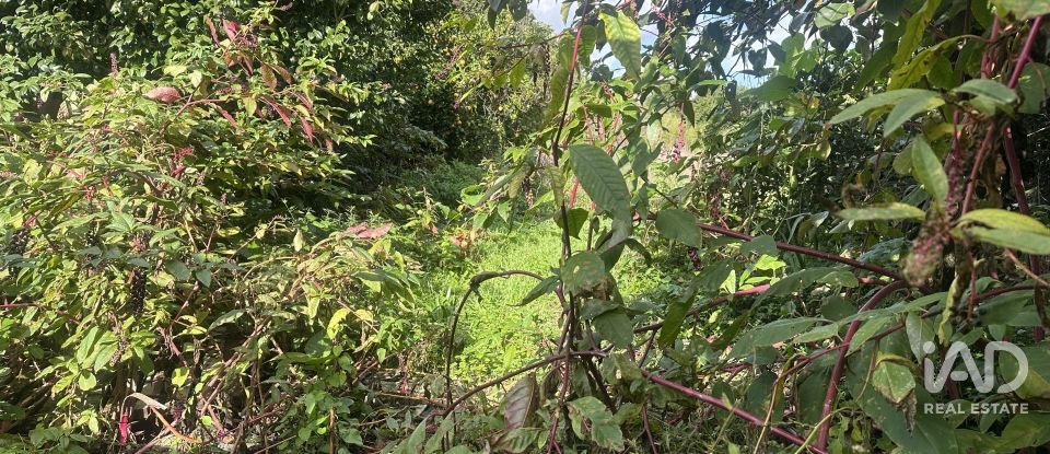 Moradia T2 em Oliveirinha de 143 m²