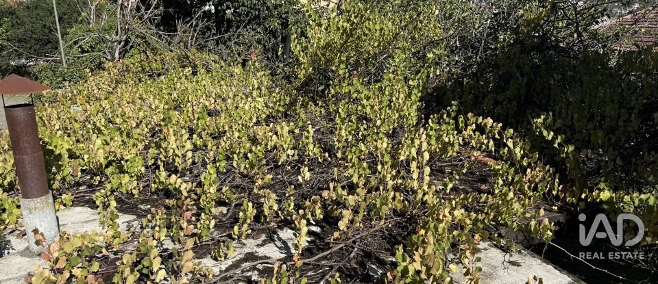 Moradia T4 em São Pedro do Sul, Várzea e Baiões de 141 m²