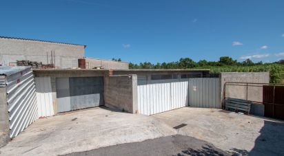 Terrain agricole à Marinha Grande de 700 m²