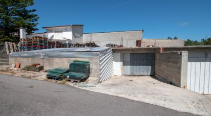 Terrain agricole à Marinha Grande de 700 m²