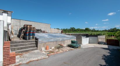 Terrain agricole à Marinha Grande de 700 m²