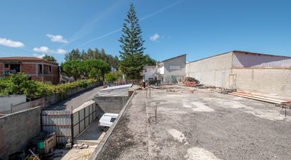 Terrain agricole à Marinha Grande de 700 m²