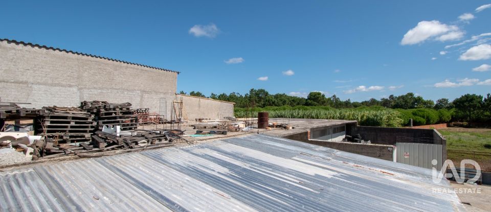 Terreno rústico em Marinha Grande de 700 m²