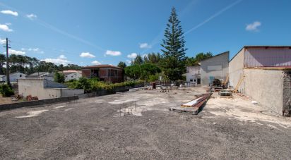 Terrain agricole à Marinha Grande de 700 m²
