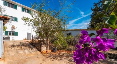 House T12 in Alte of 440 m²