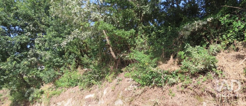 Terreno rústico em Constance de 6 621 m²