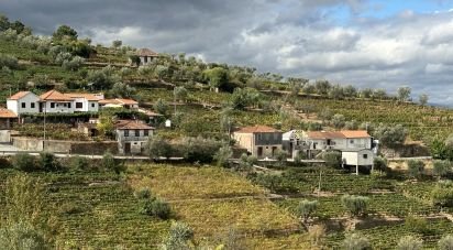 Maison rustique T3 à Cambres de 144 m²