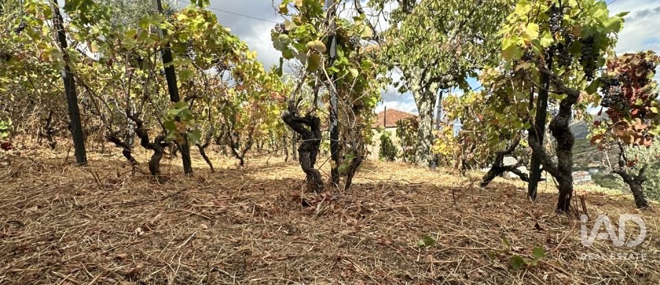 Casa de Campo T3 em Cambres de 144 m²