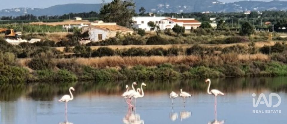 Apartamento T2 em Moncarapacho e Fuseta de 93 m²