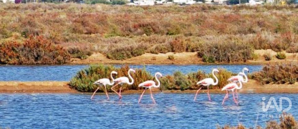 Apartamento T3 em Moncarapacho e Fuseta de 117 m²