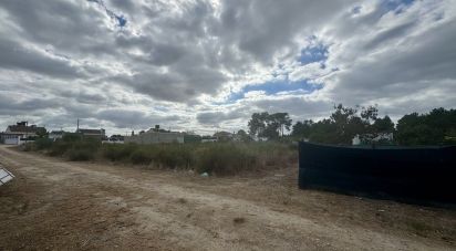 Terrain agricole à Quinta do Anjo de 315 m²