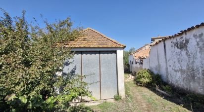 Terrain à Alcobertas de 760 m²