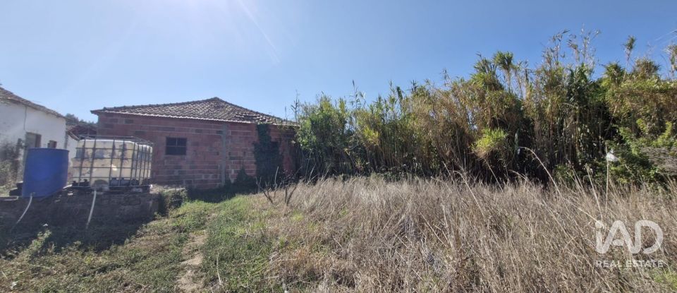 Terreno em Alcobertas de 760 m²