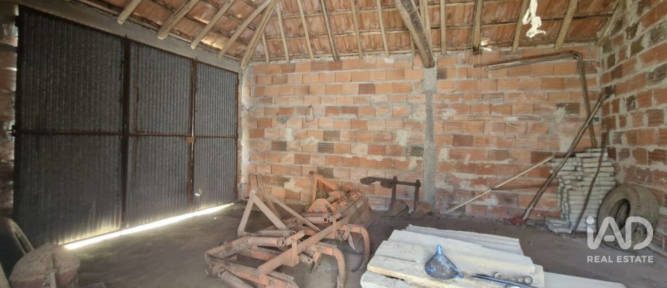 Terreno em Alcobertas de 760 m²