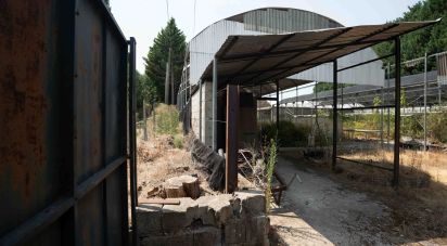 Terrain à bâtir à Borbela e Lamas de Olo de 2 750 m²