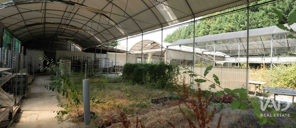 Terrain à bâtir à Borbela e Lamas de Olo de 2 750 m²