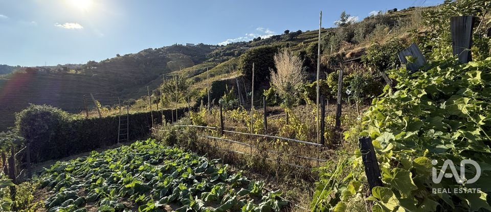 Terreno misto em Peso da Régua e Godim de 525 m²