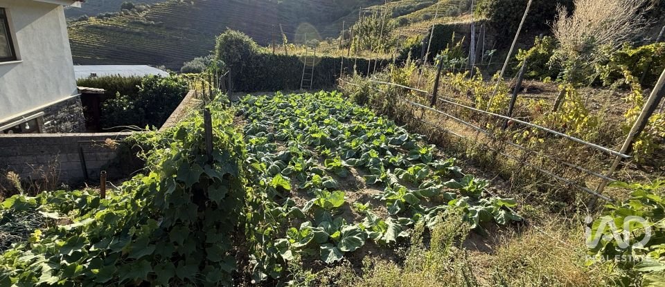 Terreno misto em Peso da Régua e Godim de 525 m²