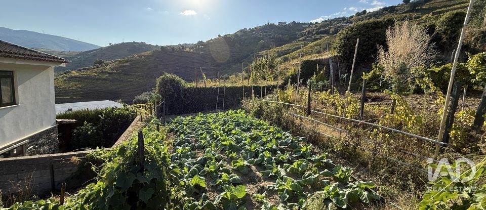 Terreno misto em Peso da Régua e Godim de 525 m²