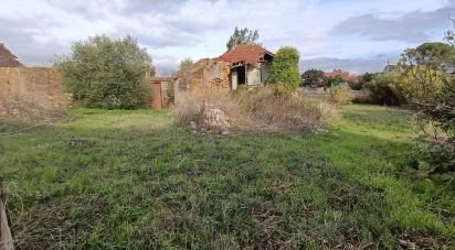 Maison T0 à Chancelaria de 48 m²