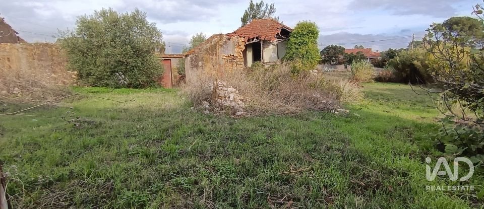 Moradia T0 em Chancelaria de 48 m²