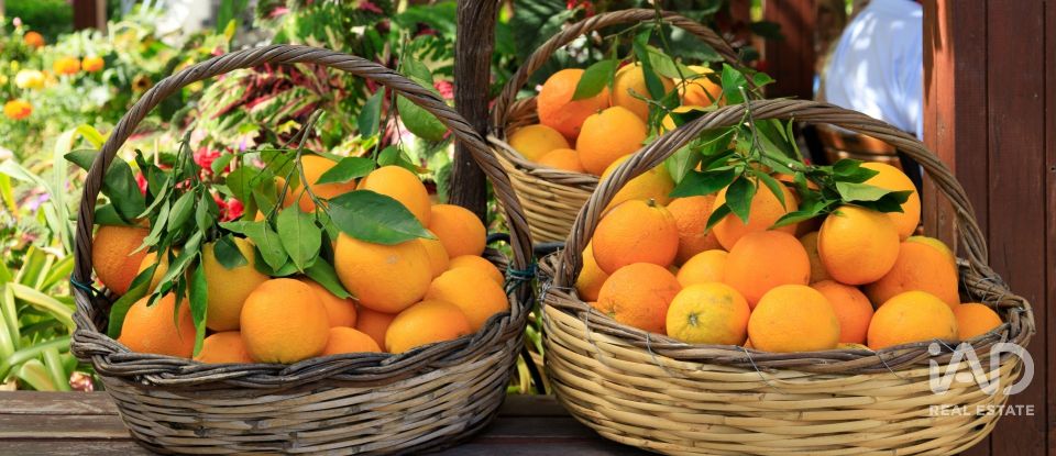 Moradia T0 em Chancelaria de 48 m²