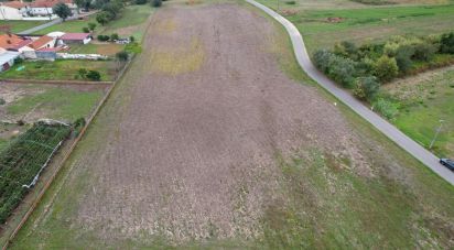 Terrain à bâtir à Bustos, Troviscal e Mamarrosa de 11 422 m²