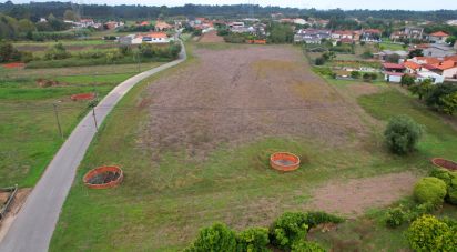 Terrain à bâtir à Bustos, Troviscal e Mamarrosa de 11 422 m²