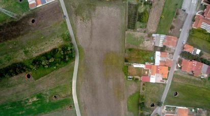 Terrain à bâtir à Bustos, Troviscal e Mamarrosa de 11 422 m²