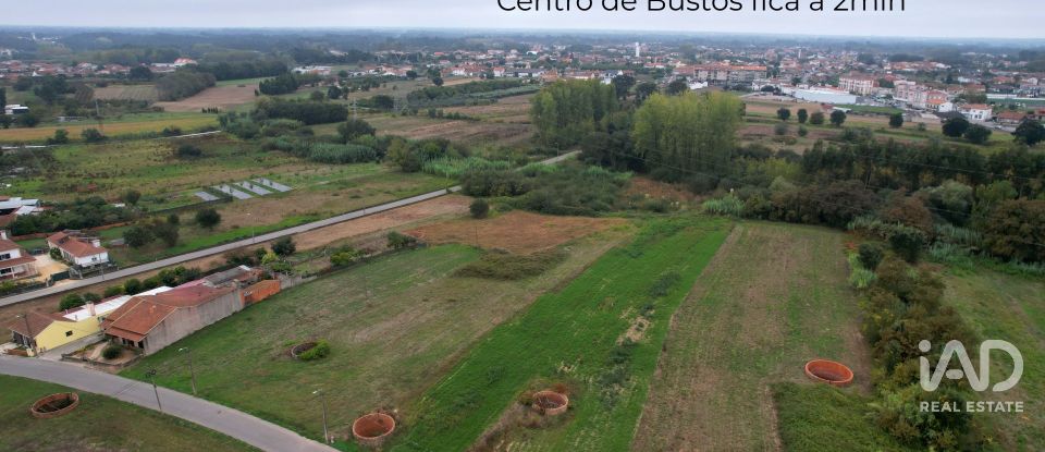 Terreno urbano em Bustos, Troviscal e Mamarrosa de 11 422 m²