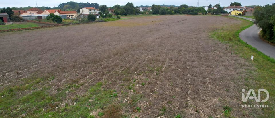 Terreno urbano em Bustos, Troviscal e Mamarrosa de 11 422 m²