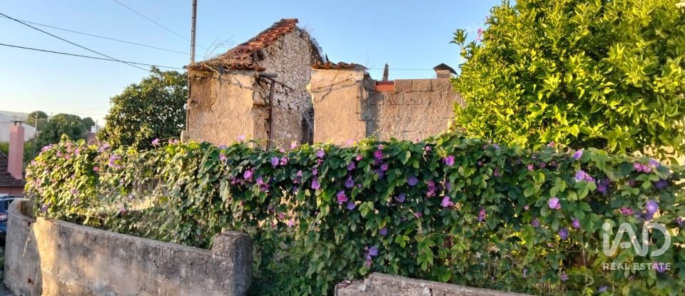 Moradia térrea T2 em Torres Novas (São Pedro), Lapas e Ribeira Branca de 163 m²