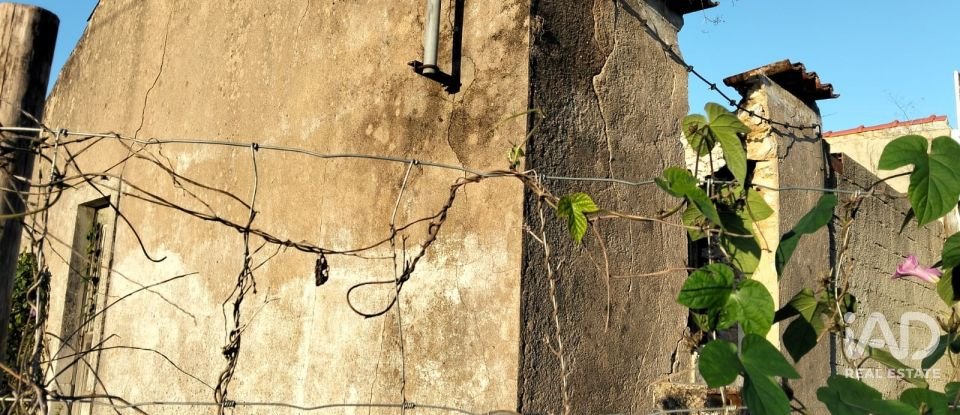 Moradia térrea T2 em Torres Novas (São Pedro), Lapas e Ribeira Branca de 163 m²