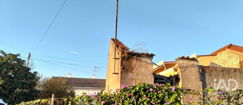 Moradia térrea T2 em Torres Novas (São Pedro), Lapas e Ribeira Branca de 163 m²