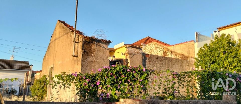 Moradia térrea T2 em Torres Novas (São Pedro), Lapas e Ribeira Branca de 163 m²