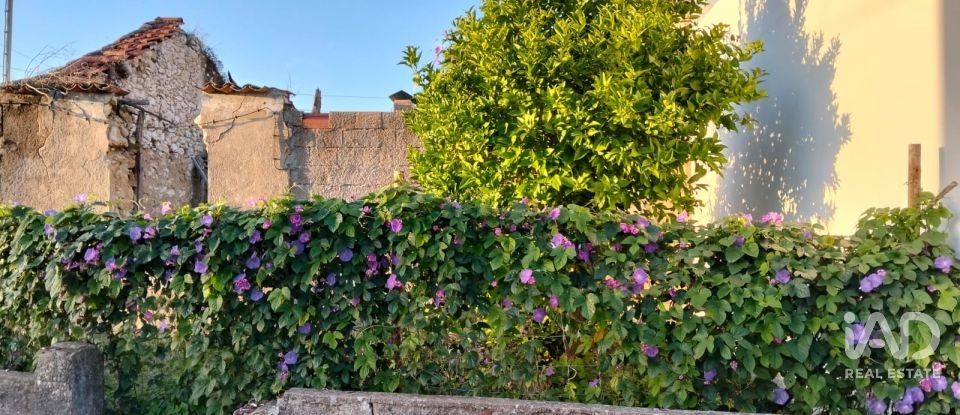 Moradia térrea T2 em Torres Novas (São Pedro), Lapas e Ribeira Branca de 163 m²