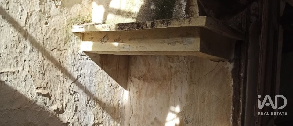 Moradia térrea T2 em Torres Novas (São Pedro), Lapas e Ribeira Branca de 163 m²